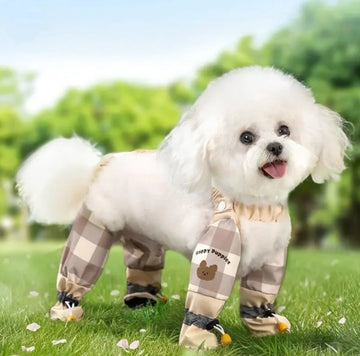 Dust-Free Dog Pants