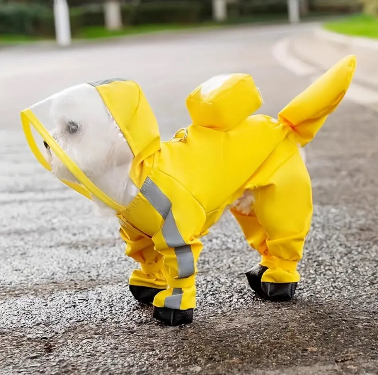 Waterproof Dog Raincoat