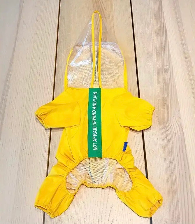 Yellow Dinosaur Raincoat