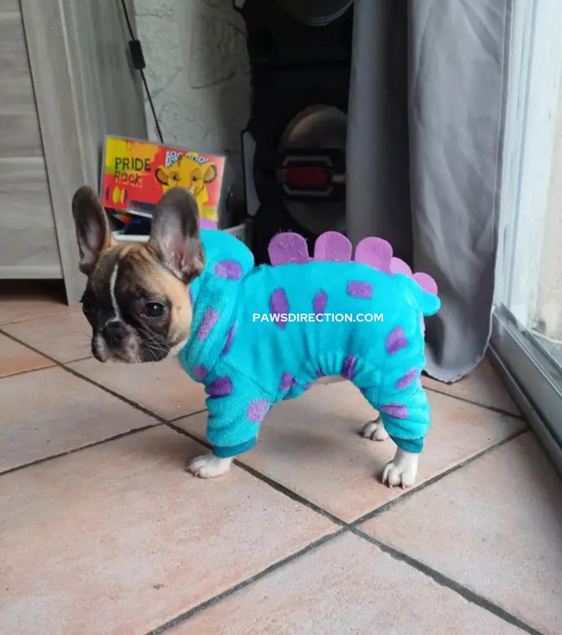 Dinosaur Costume