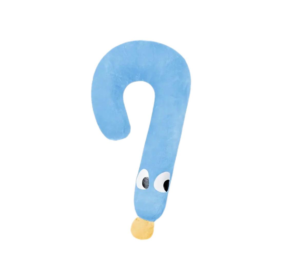 Question Dog Pillow