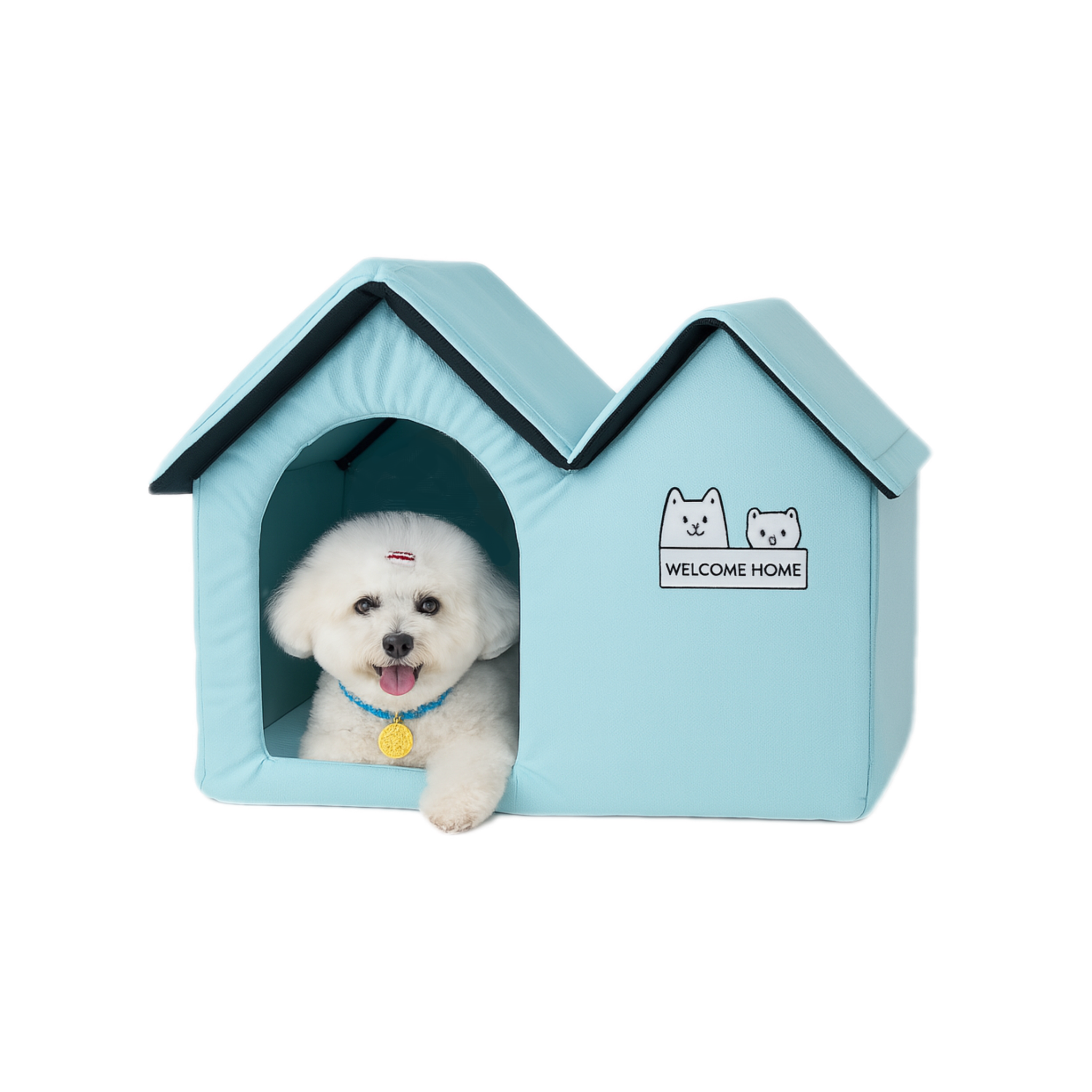 Ice Dog House