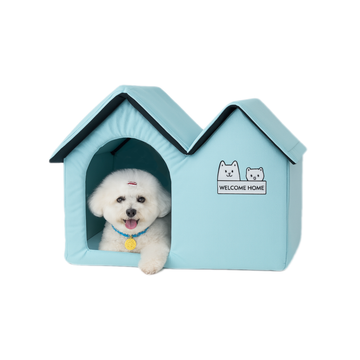 Ice Dog House