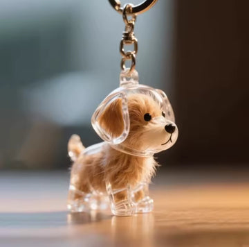 Dog Hair Memory Capsule