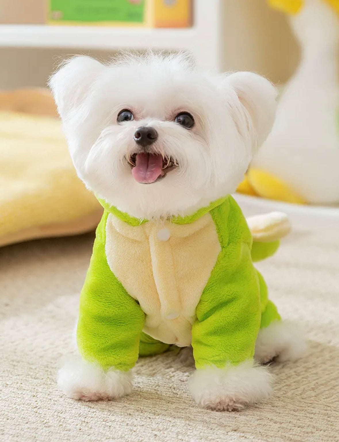 Warm Dinosaur Hoodie