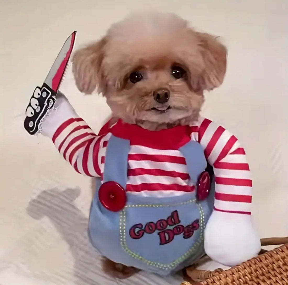 Halloween Spooky Costume