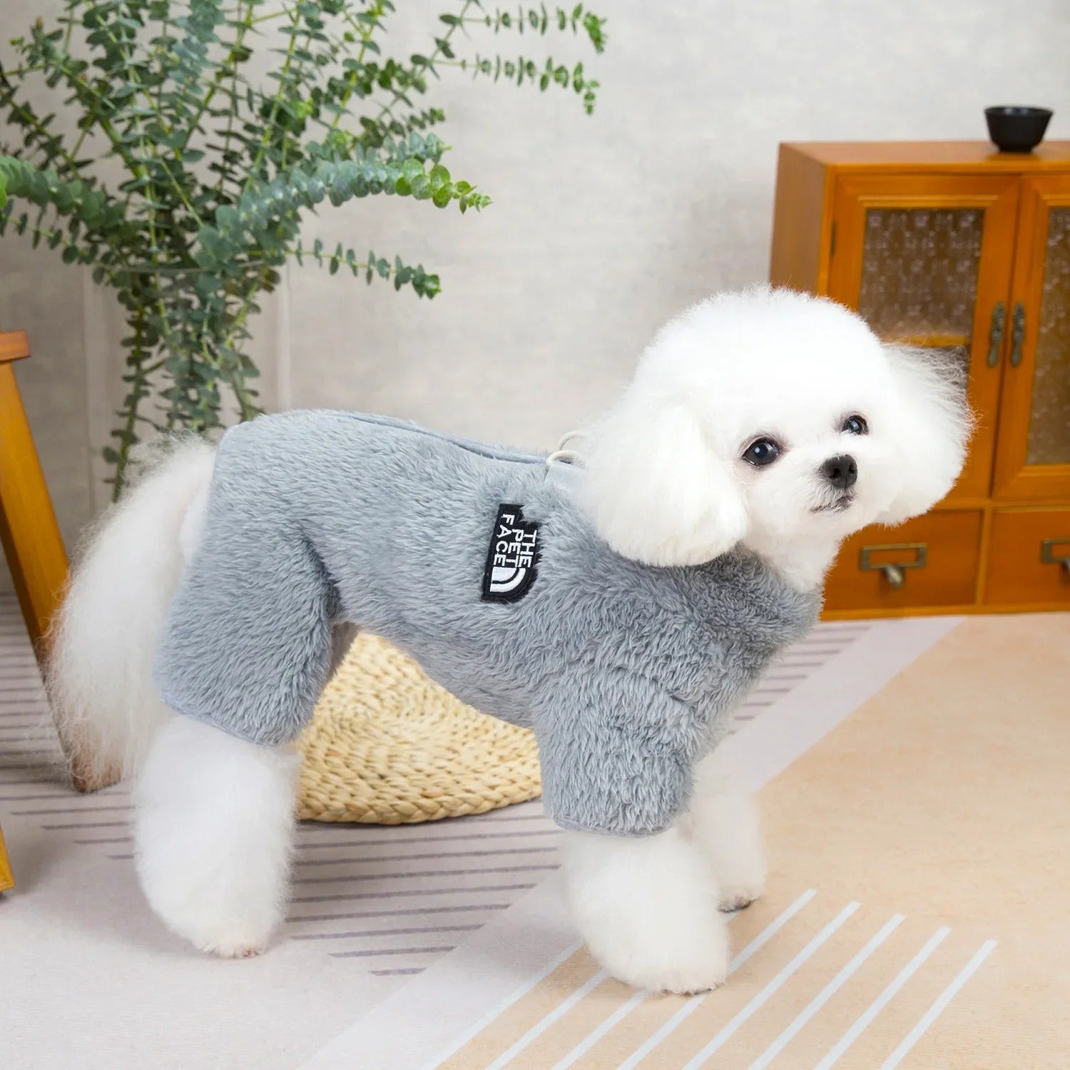 The Pet Face Jumpsuit – Paws Direction