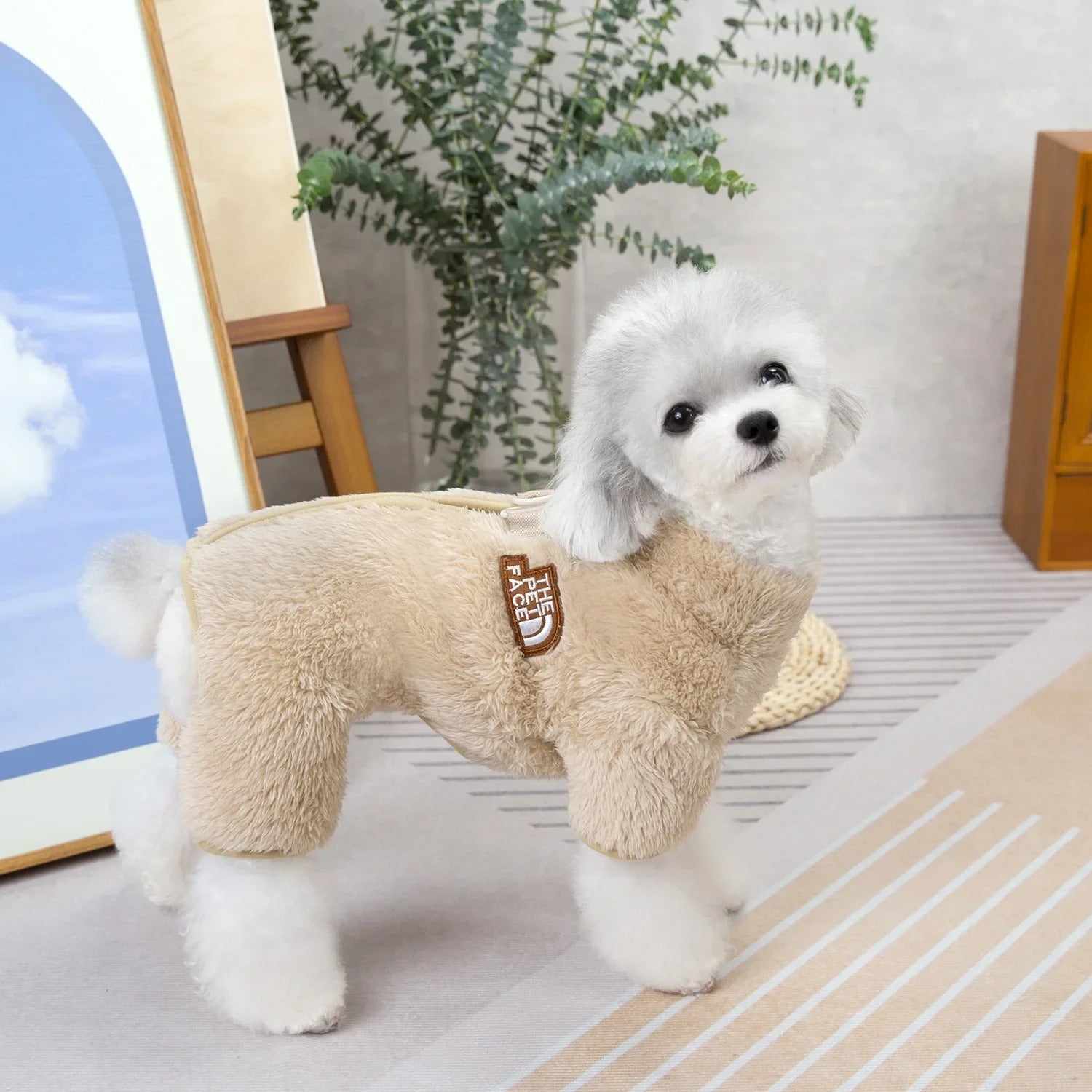 The Pet Face Jumpsuit – Paws Direction